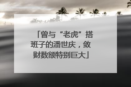 曾与“老虎”搭班子的潘世庆，敛财数额特别巨大
