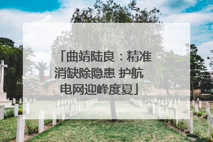 曲靖陆良：精准消缺除隐患 护航电网迎峰度夏