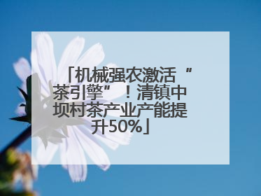 机械强农激活“茶引擎”！清镇中坝村茶产业产能提升50%