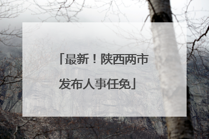 最新！陕西两市发布人事任免