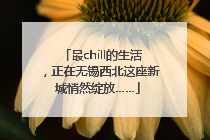 最chill的生活，正在无锡西北这座新城悄然绽放……