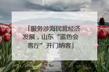 服务涉海民营经济发展，山东“蓝色会客厅”开门纳客