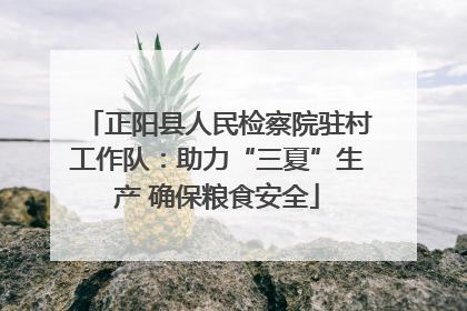 正阳县人民检察院驻村工作队：助力“三夏”生产 确保粮食安全