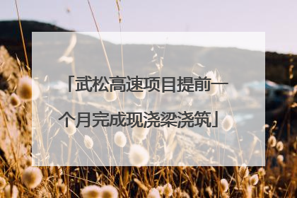 武松高速项目提前一个月完成现浇梁浇筑