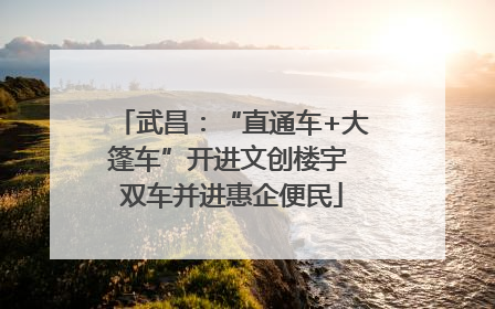 武昌：“直通车+大篷车”开进文创楼宇 双车并进惠企便民