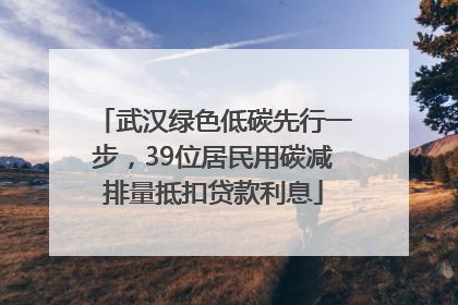 武汉绿色低碳先行一步，39位居民用碳减排量抵扣贷款利息