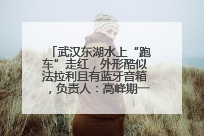 武汉东湖水上“跑车”走红，外形酷似法拉利且有蓝牙音箱，负责人：高峰期一两百人排队
