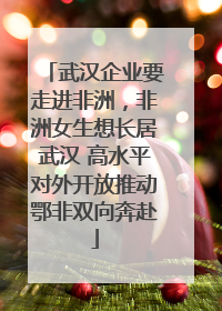 武汉企业要走进非洲，非洲女生想长居武汉 高水平对外开放推动鄂非双向奔赴