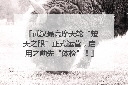 武汉最高摩天轮“楚天之眼”正式运营，启用之前先“体检”！