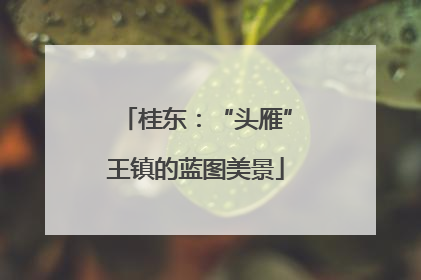 桂东：“头雁”王镇的蓝图美景