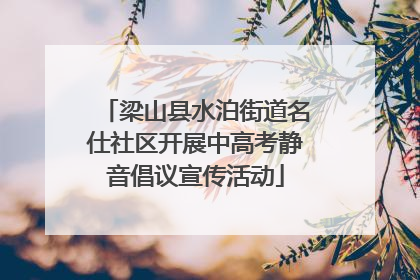 梁山县水泊街道名仕社区开展中高考静音倡议宣传活动