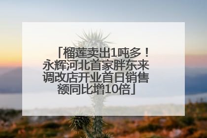 榴莲卖出1吨多！永辉河北首家胖东来调改店开业首日销售额同比增10倍