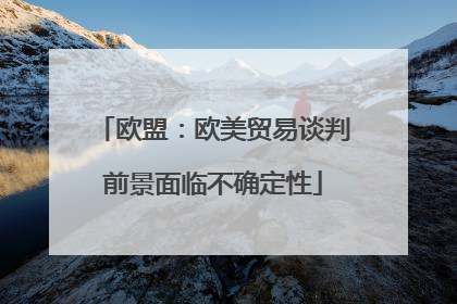 欧盟：欧美贸易谈判前景面临不确定性