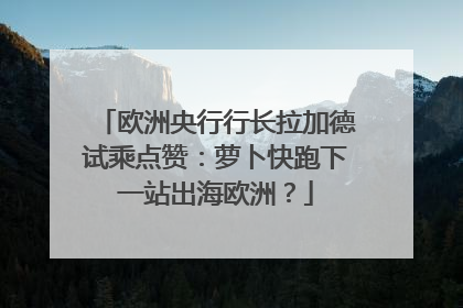 欧洲央行行长拉加德试乘点赞：萝卜快跑下一站出海欧洲？