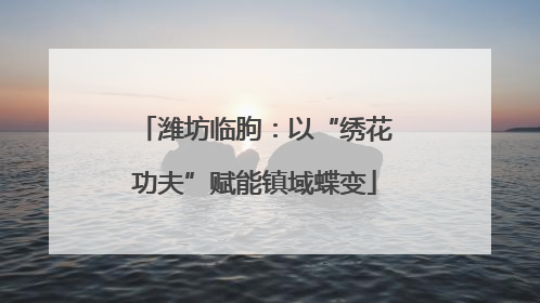 潍坊临朐：以“绣花功夫”赋能镇域蝶变