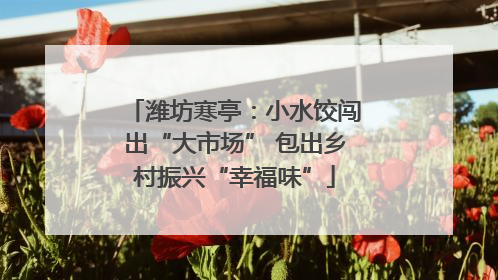 潍坊寒亭：小水饺闯出“大市场” 包出乡村振兴“幸福味”