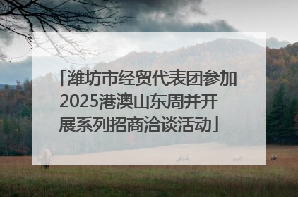 潍坊市经贸代表团参加2025港澳山东周并开展系列招商洽谈活动
