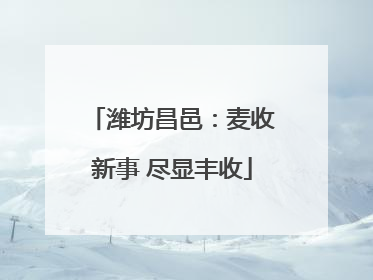 潍坊昌邑：麦收新事 尽显丰收