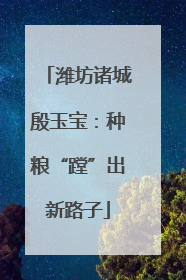 潍坊诸城殷玉宝：种粮“蹚”出新路子