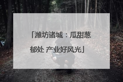 潍坊诸城：瓜甜葱郁处 产业好风光