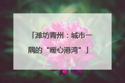 潍坊青州：城市一隅的“暖心港湾”