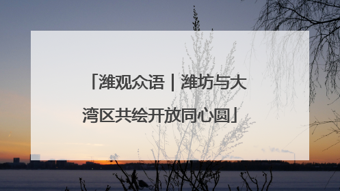 潍观众语｜潍坊与大湾区共绘开放同心圆