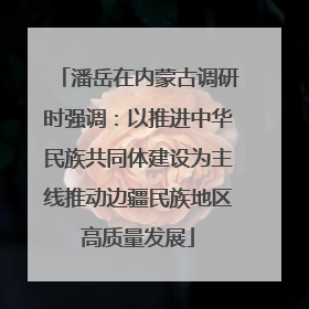 潘岳在内蒙古调研时强调：以推进中华民族共同体建设为主线推动边疆民族地区高质量发展