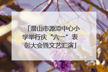 潜山市源潭中心小学举行庆“六一”表彰大会暨文艺汇演