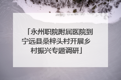 永州职院附属医院到宁远县桑梓头村开展乡村振兴专题调研