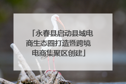 永春县启动县域电商生态圈打造暨跨境电商集聚区创建