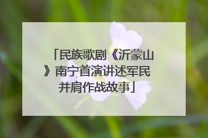 民族歌剧《沂蒙山》南宁首演讲述军民并肩作战故事