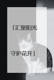 汇聚阳光 守护花开