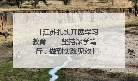 江苏扎实开展学习教育——坚持深学笃行，做到实改见效