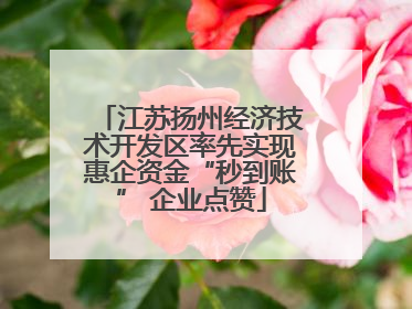 江苏扬州经济技术开发区率先实现惠企资金“秒到账” 企业点赞