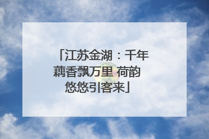 江苏金湖：千年藕香飘万里 荷韵悠悠引客来