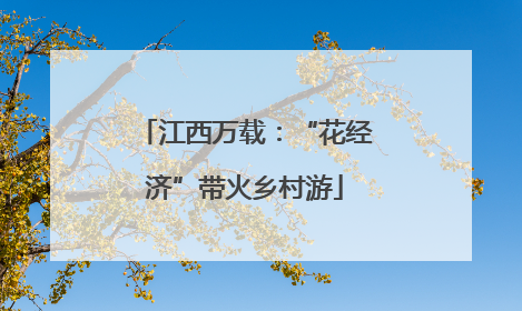 江西万载：“花经济”带火乡村游