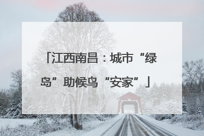江西南昌：城市“绿岛”助候鸟“安家”