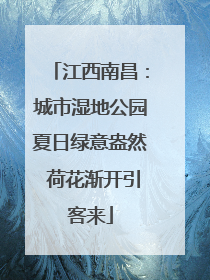 江西南昌：城市湿地公园夏日绿意盎然 荷花渐开引客来