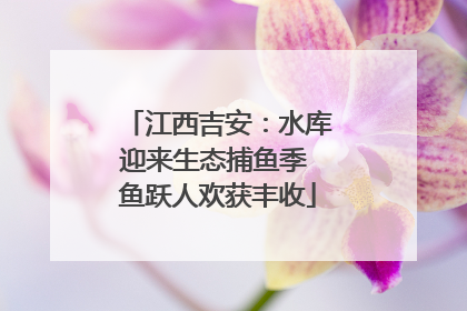 江西吉安：水库迎来生态捕鱼季 鱼跃人欢获丰收