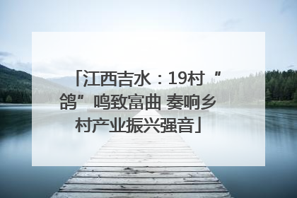 江西吉水：19村“鸽”鸣致富曲 奏响乡村产业振兴强音