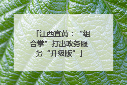 江西宜黄：“组合拳”打出政务服务“升级版”