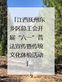 江西抚州东乡区总工会开展“六一”普法宣传暨传统文化体验活动