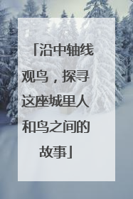 沿中轴线观鸟，探寻这座城里人和鸟之间的故事