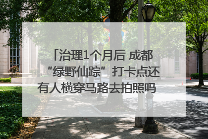 治理1个月后 成都“绿野仙踪”打卡点还有人横穿马路去拍照吗？｜民情瞭望