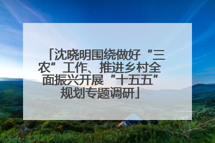 沈晓明围绕做好“三农”工作、推进乡村全面振兴开展“十五五”规划专题调研