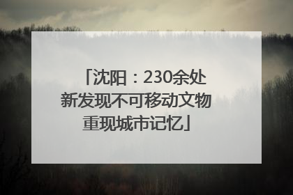 沈阳：230余处新发现不可移动文物重现城市记忆