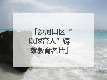 沙河口区“以球育人”铸就教育名片