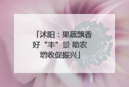 沭阳：果蔬飘香好“丰”景 助农增收促振兴