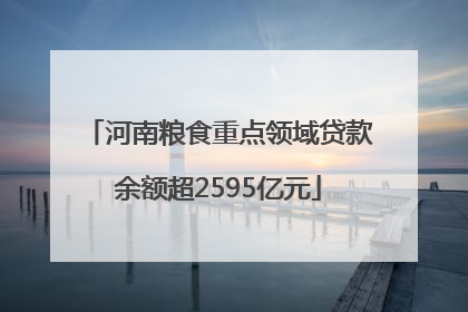 河南粮食重点领域贷款余额超2595亿元