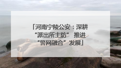 河南宁陵公安：深耕“派出所主防” 推进“警网融合”发展